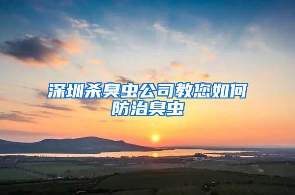 深圳殺臭蟲公司教您如何防治臭蟲