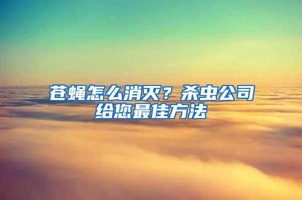 蒼蠅怎么消滅？殺蟲公司給您最佳方法