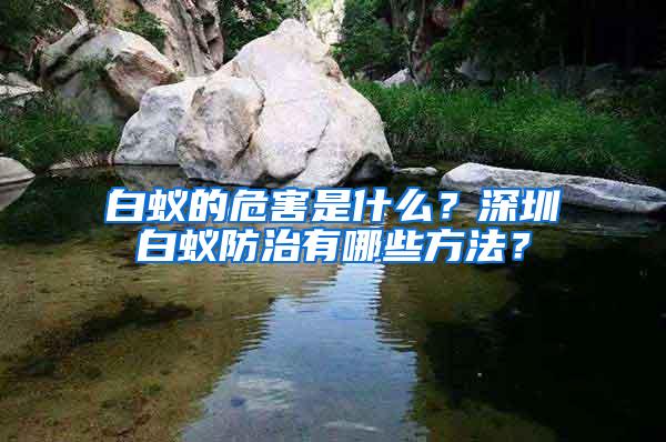 白蟻的危害是什么？深圳白蟻防治有哪些方法？