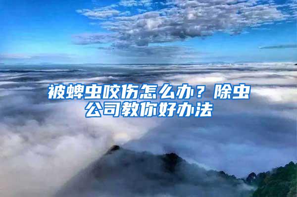 被蜱蟲咬傷怎么辦？除蟲公司教你好辦法