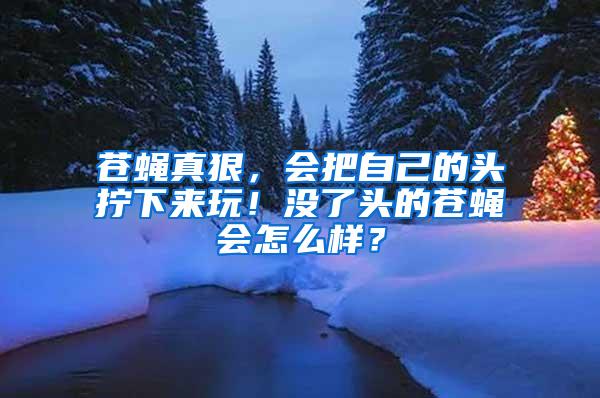 蒼蠅真狠，會把自己的頭擰下來玩！沒了頭的蒼蠅會怎么樣？