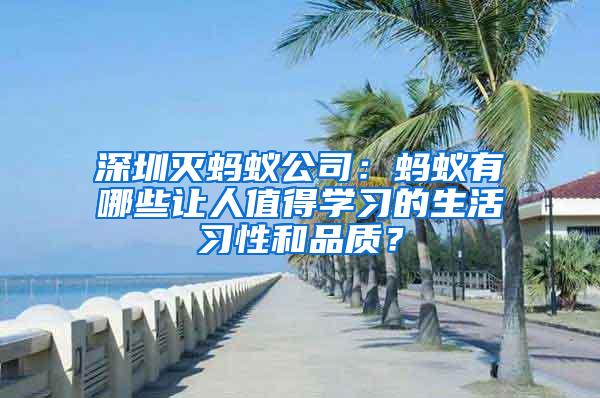 深圳滅螞蟻公司：螞蟻有哪些讓人值得學習的生活習性和品質？