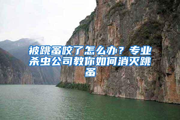 被跳蚤咬了怎么辦？專業(yè)殺蟲(chóng)公司教你如何消滅跳蚤