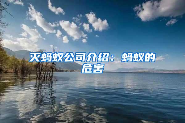 滅螞蟻公司介紹：螞蟻的危害