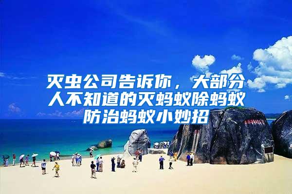 滅蟲公司告訴你，大部分人不知道的滅螞蟻除螞蟻防治螞蟻小妙招