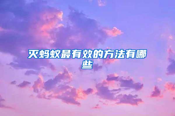 滅螞蟻最有效的方法有哪些