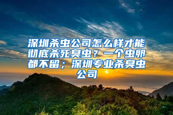 深圳殺蟲公司怎么樣才能徹底殺死臭蟲？一個蟲卵都不留；深圳專業殺臭蟲公司