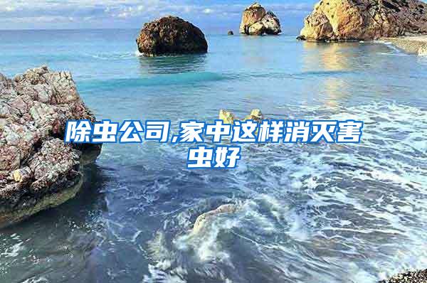 除蟲公司,家中這樣消滅害蟲好