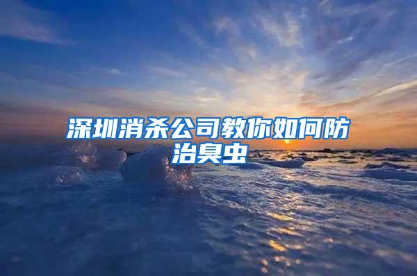 深圳消殺公司教你如何防治臭蟲