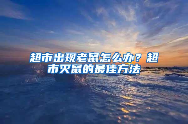 超市出現老鼠怎么辦？超市滅鼠的最佳方法