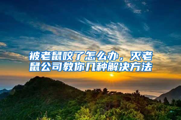 被老鼠咬了怎么辦，滅老鼠公司教你幾種解決方法