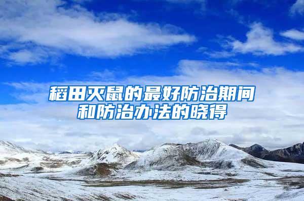 稻田滅鼠的最好防治期間和防治辦法的曉得