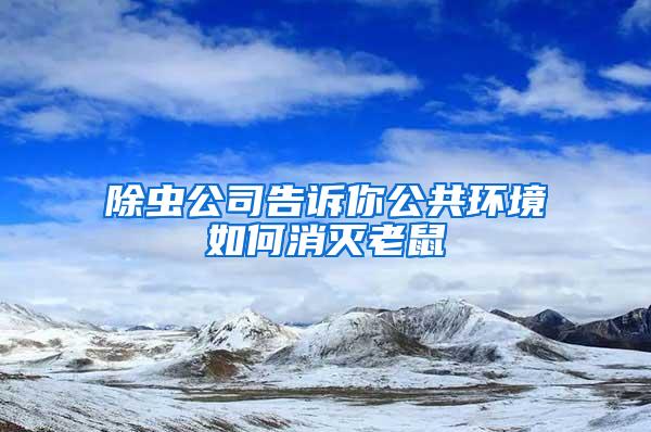 除蟲公司告訴你公共環境如何消滅老鼠