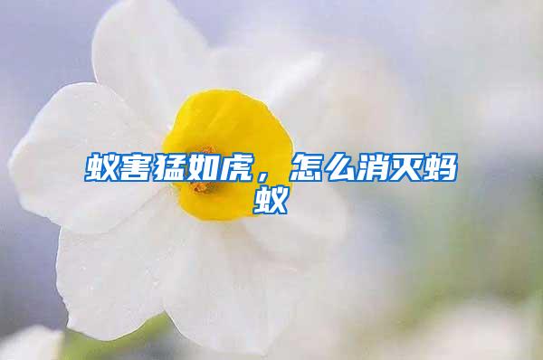 蟻害猛如虎，怎么消滅螞蟻