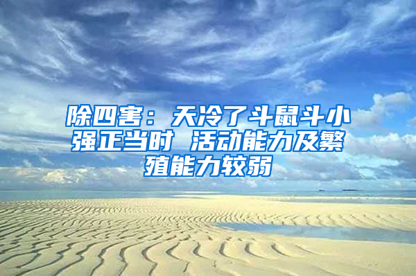 除四害：天冷了斗鼠斗小強正當時 活動能力及繁殖能力較弱