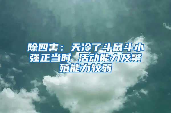 除四害：天冷了斗鼠斗小強正當時 活動能力及繁殖能力較弱