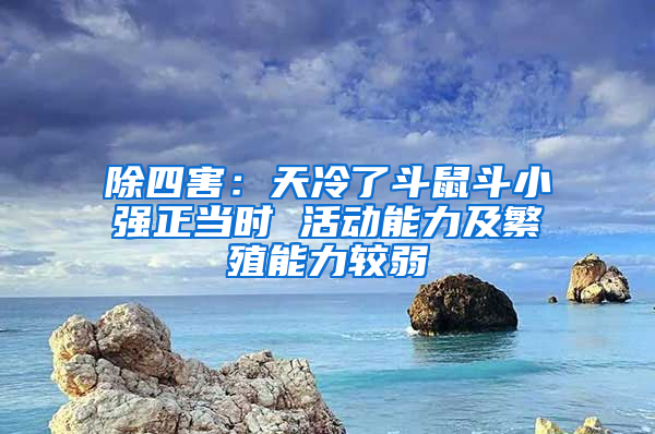 除四害：天冷了斗鼠斗小強正當(dāng)時 活動能力及繁殖能力較弱