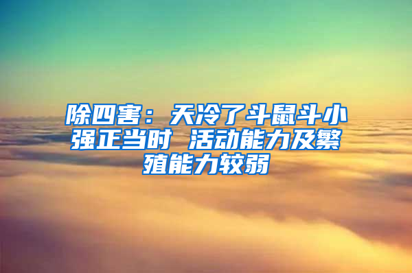 除四害：天冷了斗鼠斗小強正當時 活動能力及繁殖能力較弱