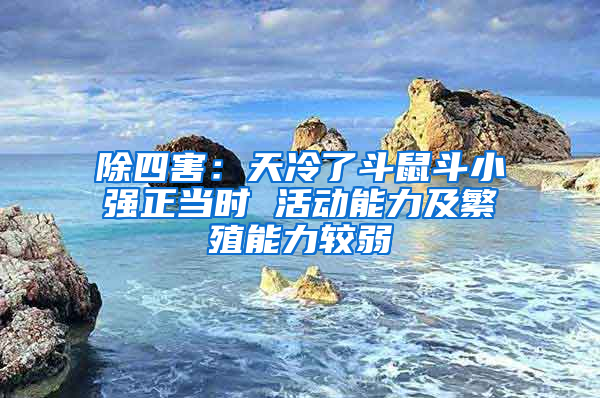 除四害：天冷了斗鼠斗小強正當時 活動能力及繁殖能力較弱