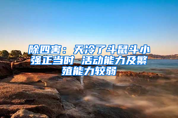 除四害：天冷了斗鼠斗小強(qiáng)正當(dāng)時(shí) 活動(dòng)能力及繁殖能力較弱