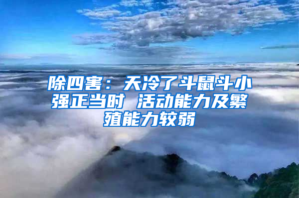 除四害：天冷了斗鼠斗小強(qiáng)正當(dāng)時(shí) 活動(dòng)能力及繁殖能力較弱