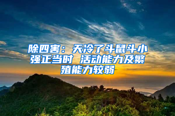 除四害：天冷了斗鼠斗小強正當時 活動能力及繁殖能力較弱