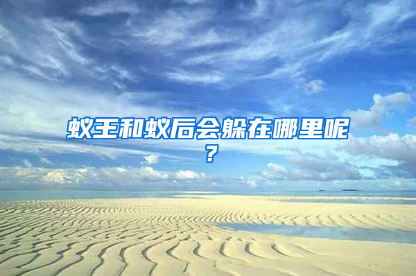 蟻王和蟻后會躲在哪里呢？