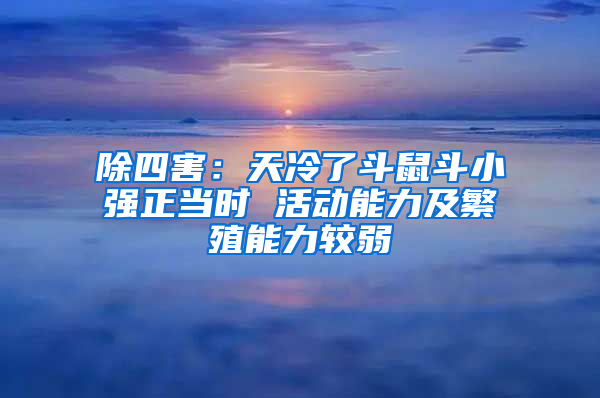 除四害：天冷了斗鼠斗小強正當時 活動能力及繁殖能力較弱