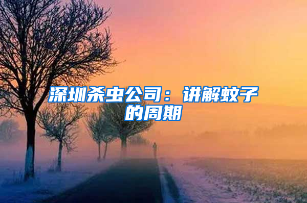 深圳殺蟲公司：講解蚊子的周期