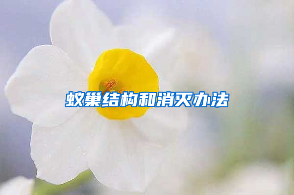 蟻巢結(jié)構(gòu)和消滅辦法