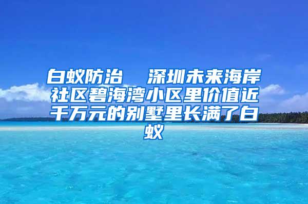 白蟻防治  深圳未來海岸社區碧海灣小區里價值近千萬元的別墅里長滿了白蟻