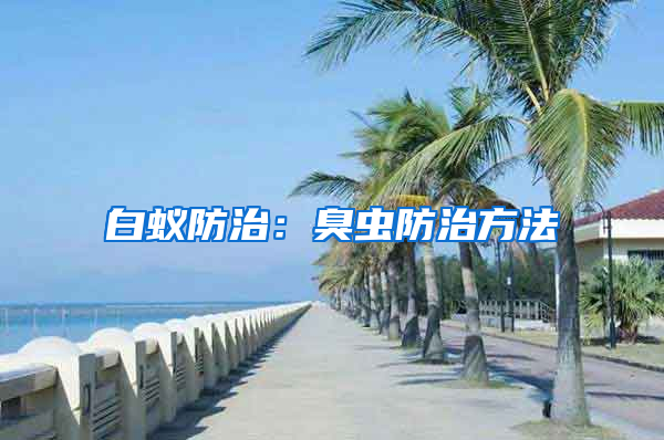 白蟻防治：臭蟲防治方法