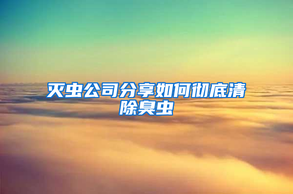 滅蟲公司分享如何徹底清除臭蟲