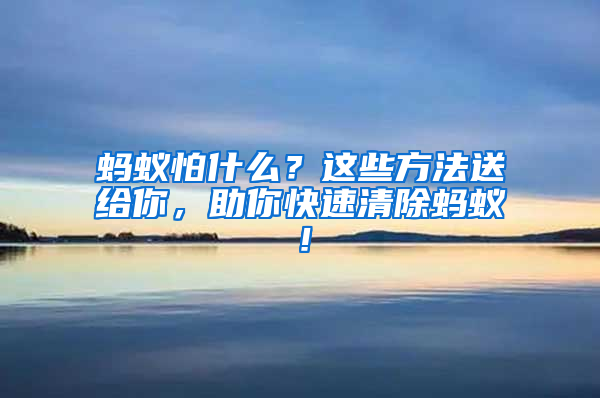 螞蟻怕什么？這些方法送給你，助你快速清除螞蟻！