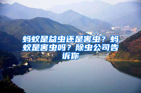 螞蟻是益蟲還是害蟲？螞蟻是害蟲嗎？除蟲公司告訴你