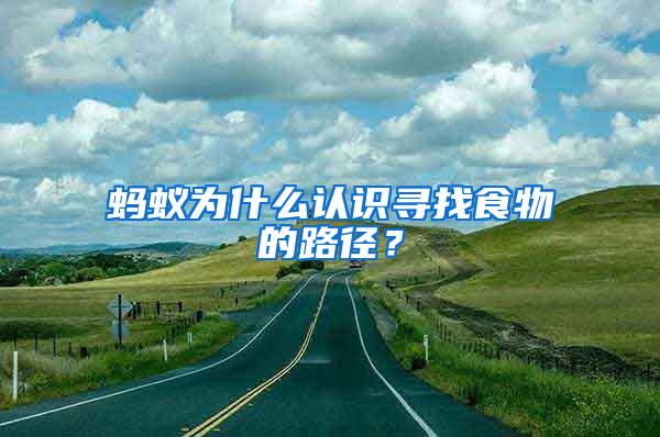 螞蟻為什么認識尋找食物的路徑？