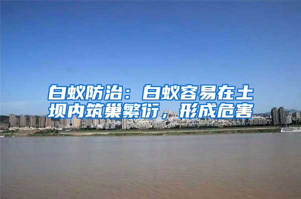 白蟻防治：白蟻容易在土壩內筑巢繁衍，形成危害