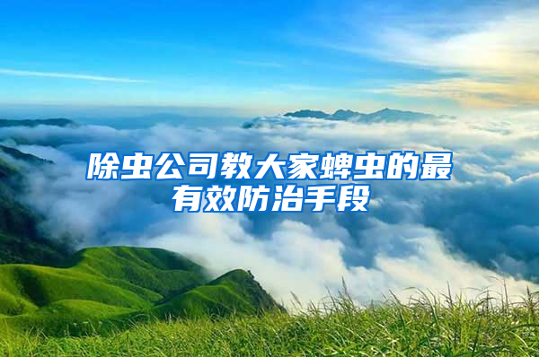 除蟲公司教大家蜱蟲的最有效防治手段