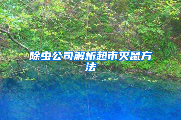 除蟲公司解析超市滅鼠方法