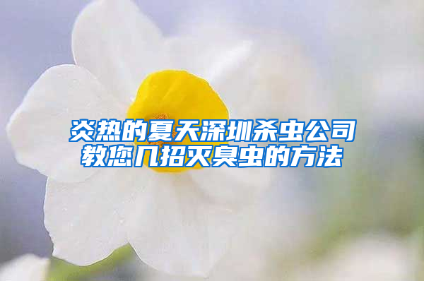 炎熱的夏天深圳殺蟲公司教您幾招滅臭蟲的方法