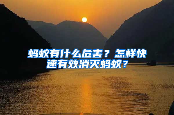 螞蟻有什么危害？怎樣快速有效消滅螞蟻？