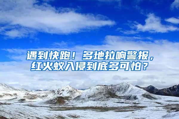 遇到快跑！多地拉響警報，紅火蟻入侵到底多可怕？