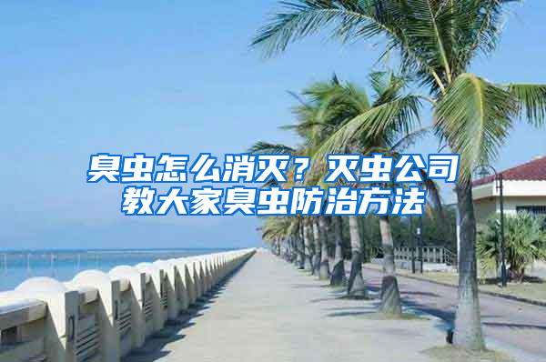 臭蟲怎么消滅？滅蟲公司教大家臭蟲防治方法