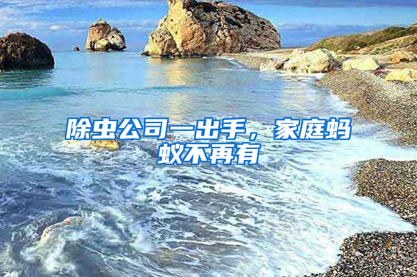 除蟲公司一出手，家庭螞蟻不再有