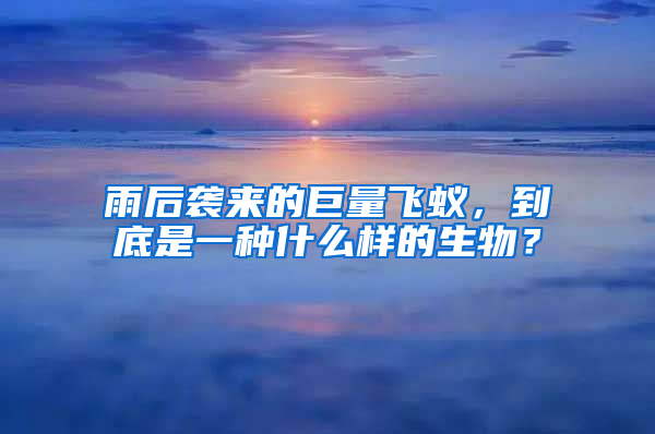 雨后襲來的巨量飛蟻，到底是一種什么樣的生物？