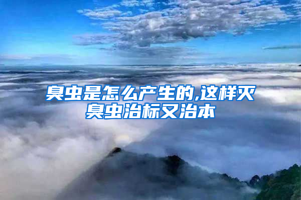 臭蟲是怎么產生的,這樣滅臭蟲治標又治本